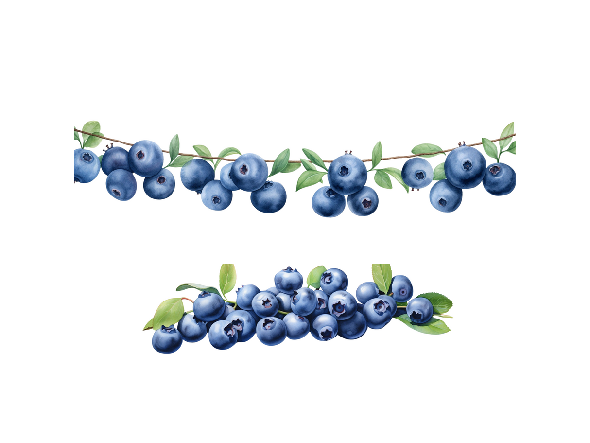 Blueberry Clipart Set - Watercolor