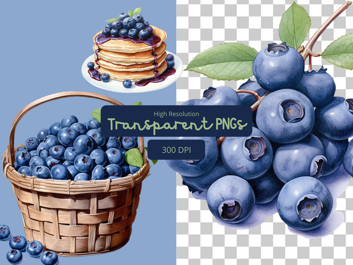 Blueberry Clipart Set - Watercolor