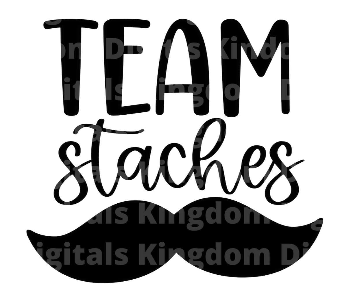 Team Stashes SVG Cut File