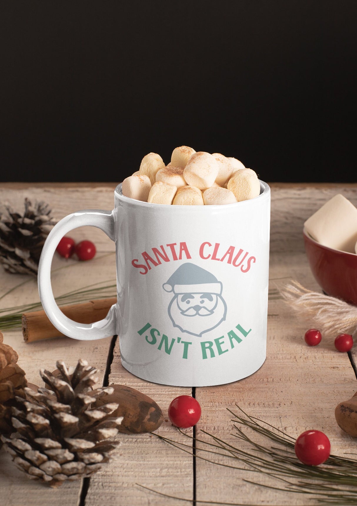 Santa Claus isn't real SVG Cut File