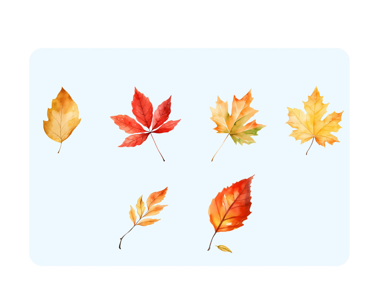 Fall Leaves Watercolor Clipart Set PNG