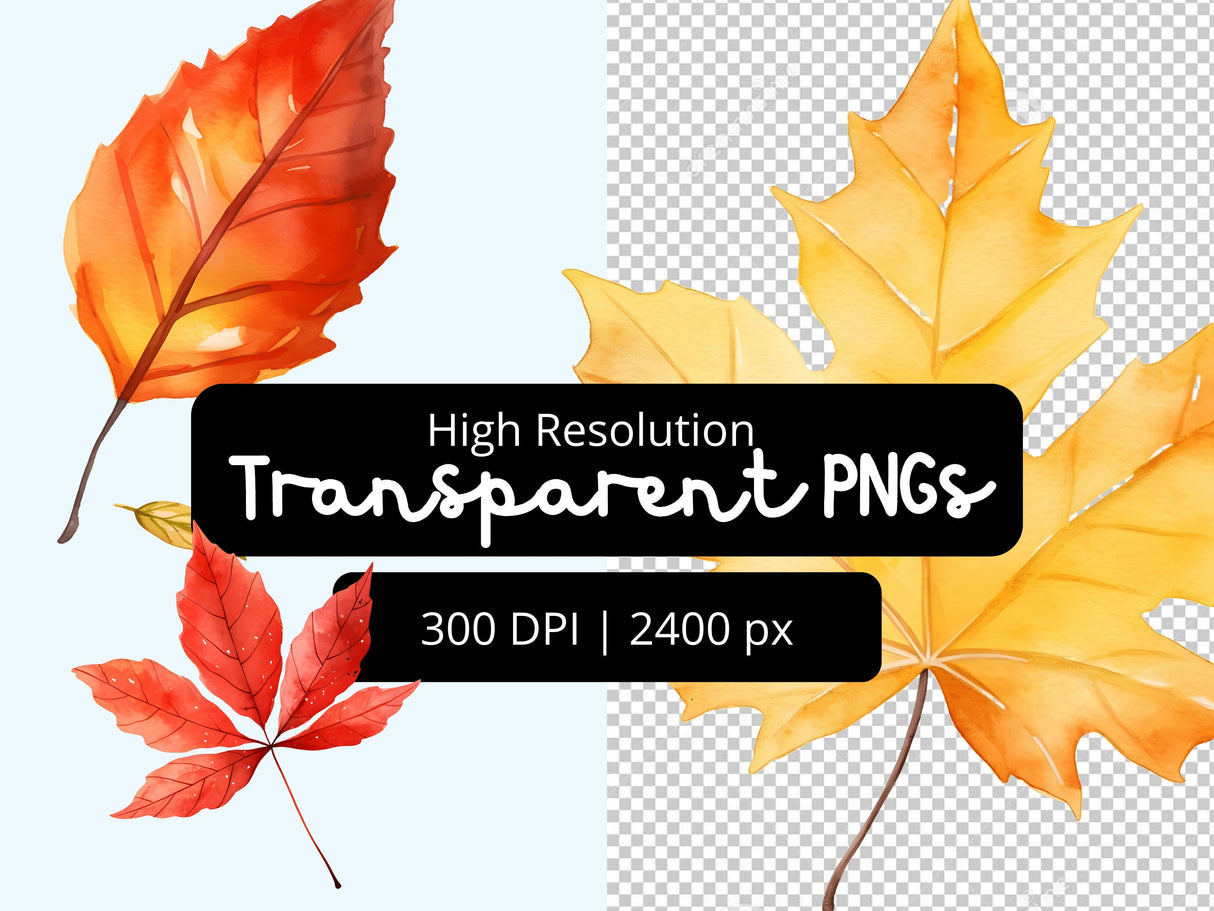 Fall Leaves Watercolor Clipart Set PNG