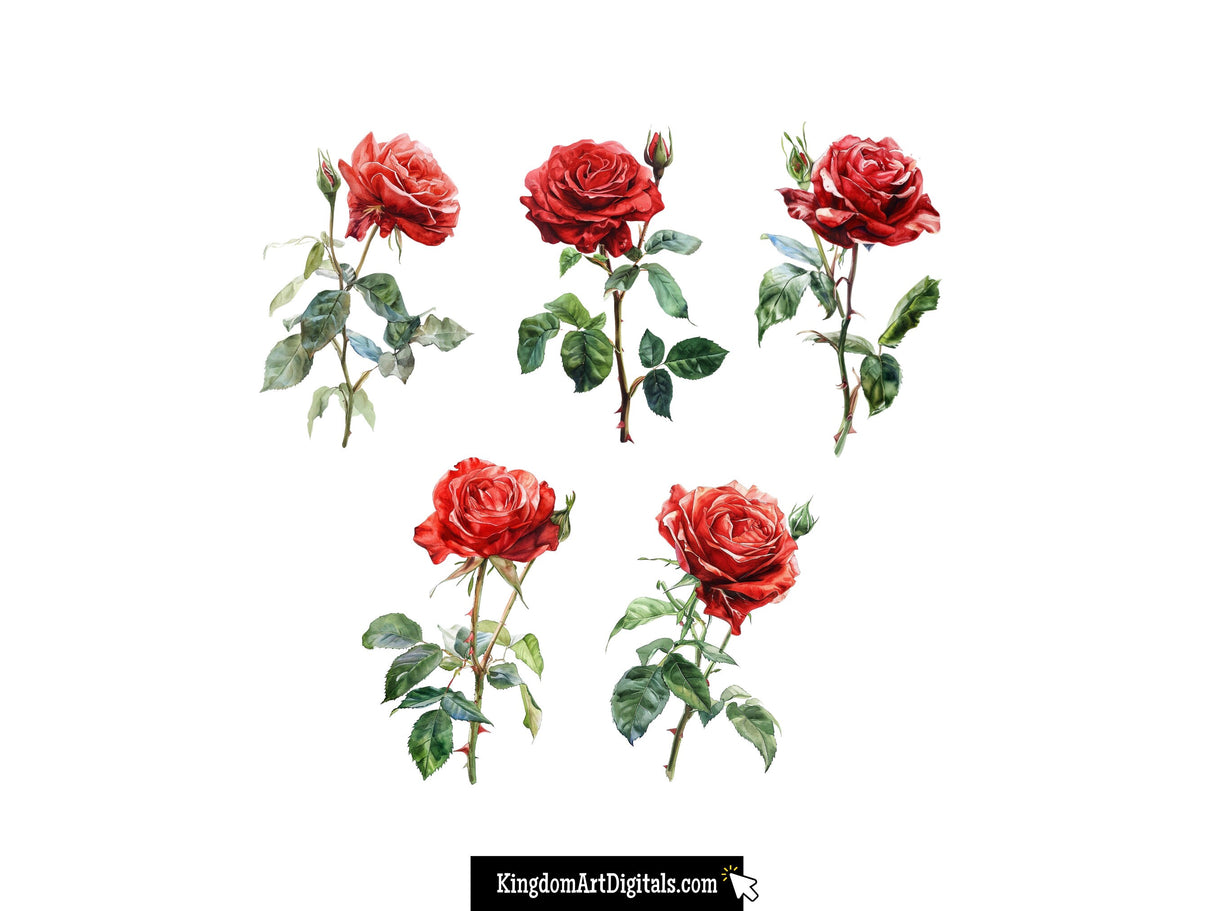 Red Roses Clipart Set
