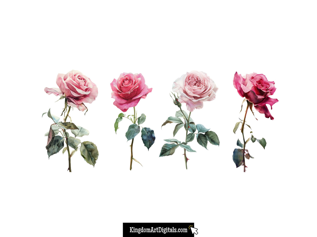 Pink Rose Clipart Set