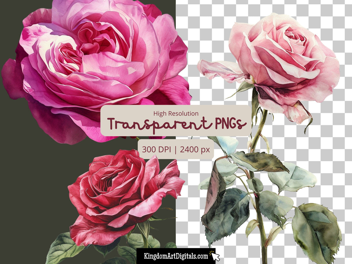 Pink Rose Clipart Set