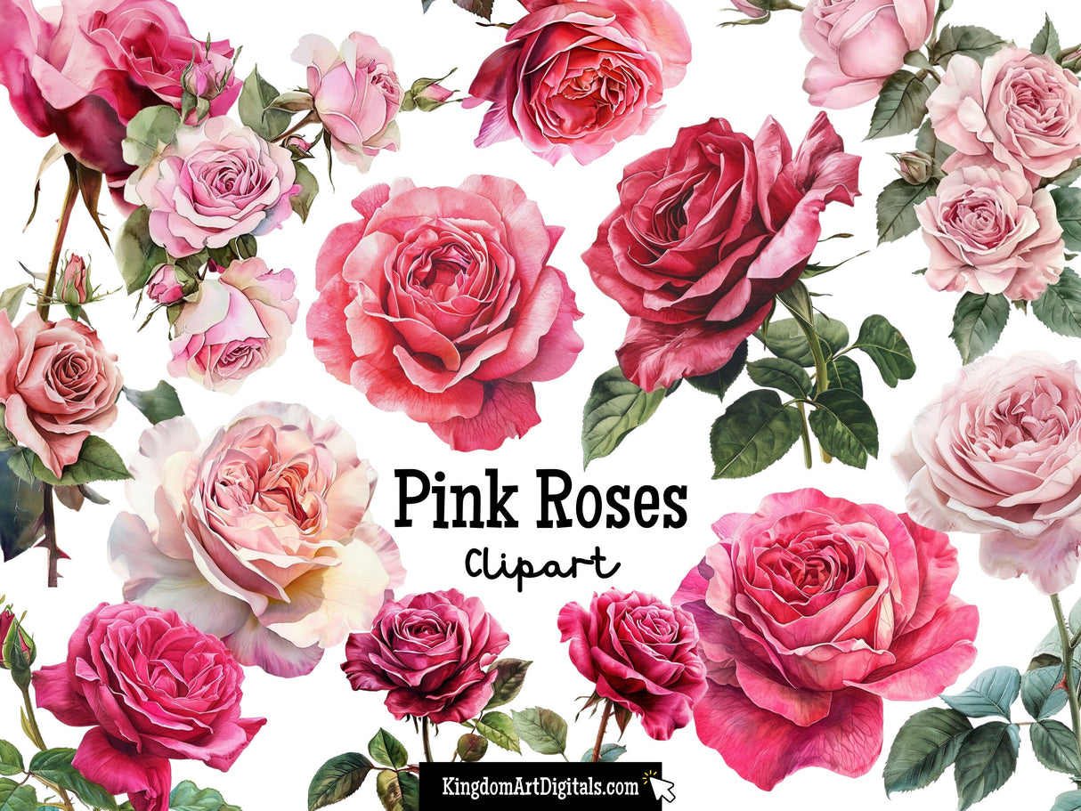 Pink Rose Clipart Set