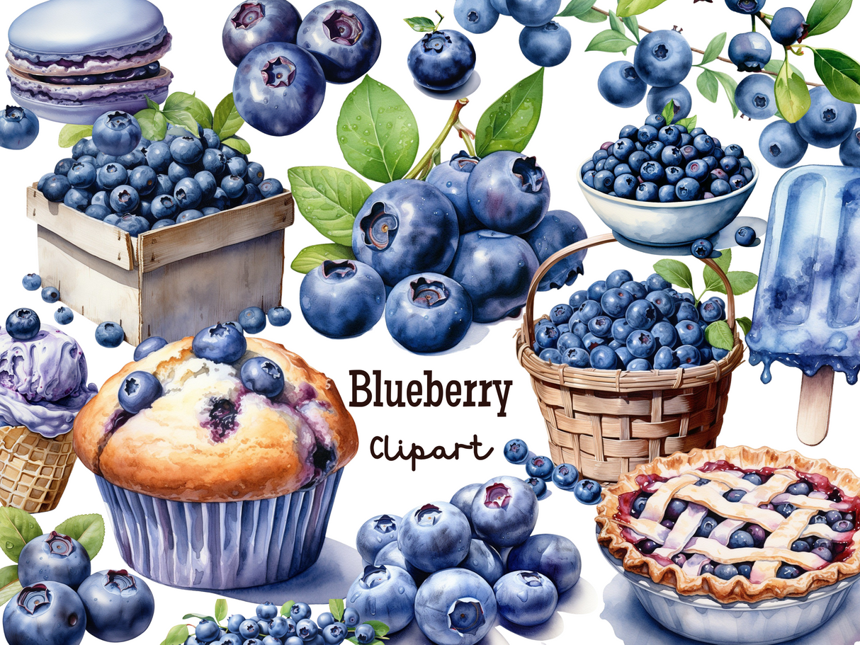 Blueberry Clipart Set - Watercolor