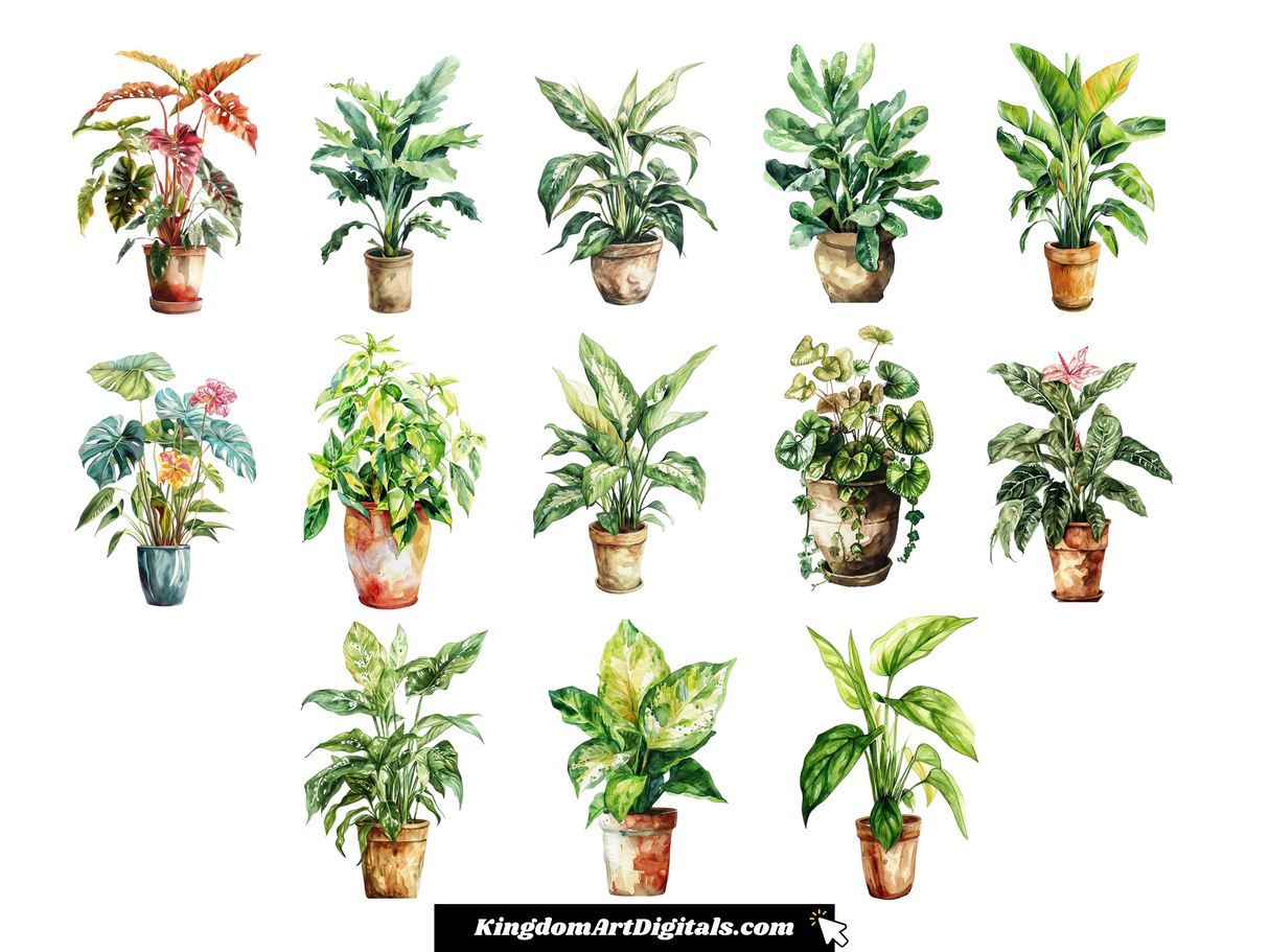 a bunch of potted plants sitting on top of each other