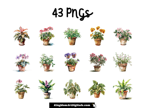 a bunch of potted plants are shown in this picture