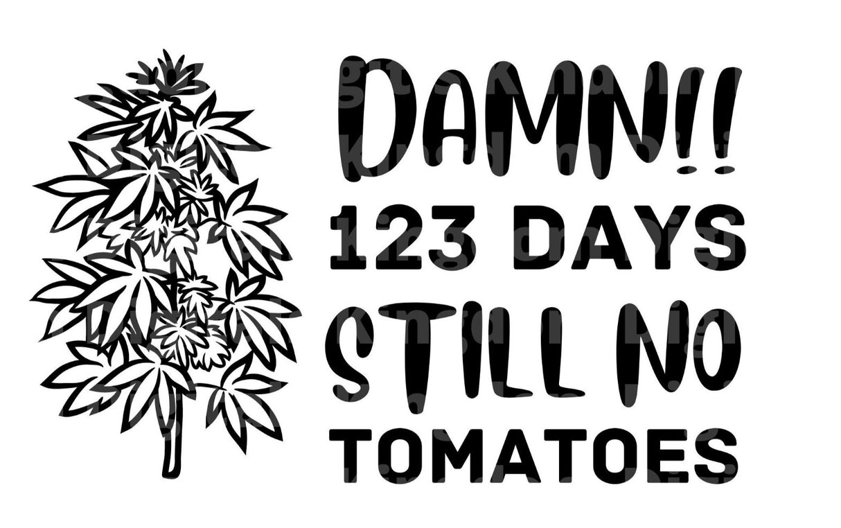 Damn 123 Days Still Not Tomatoes SVG Cut File