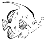 Fish SVG Cut File