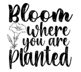 Bloom Where You Are Planted SVG Cut File