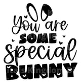 You Are Some Special Bunny SVG Cut File