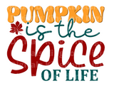 Pumpkin is the spice of life SVG Cut File