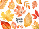 Fall Leaves Watercolor Clipart Set PNG