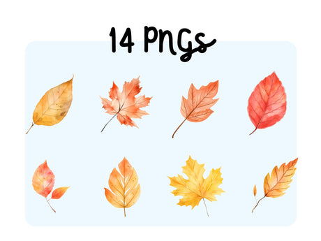 Fall Leaves Watercolor Clipart Set PNG