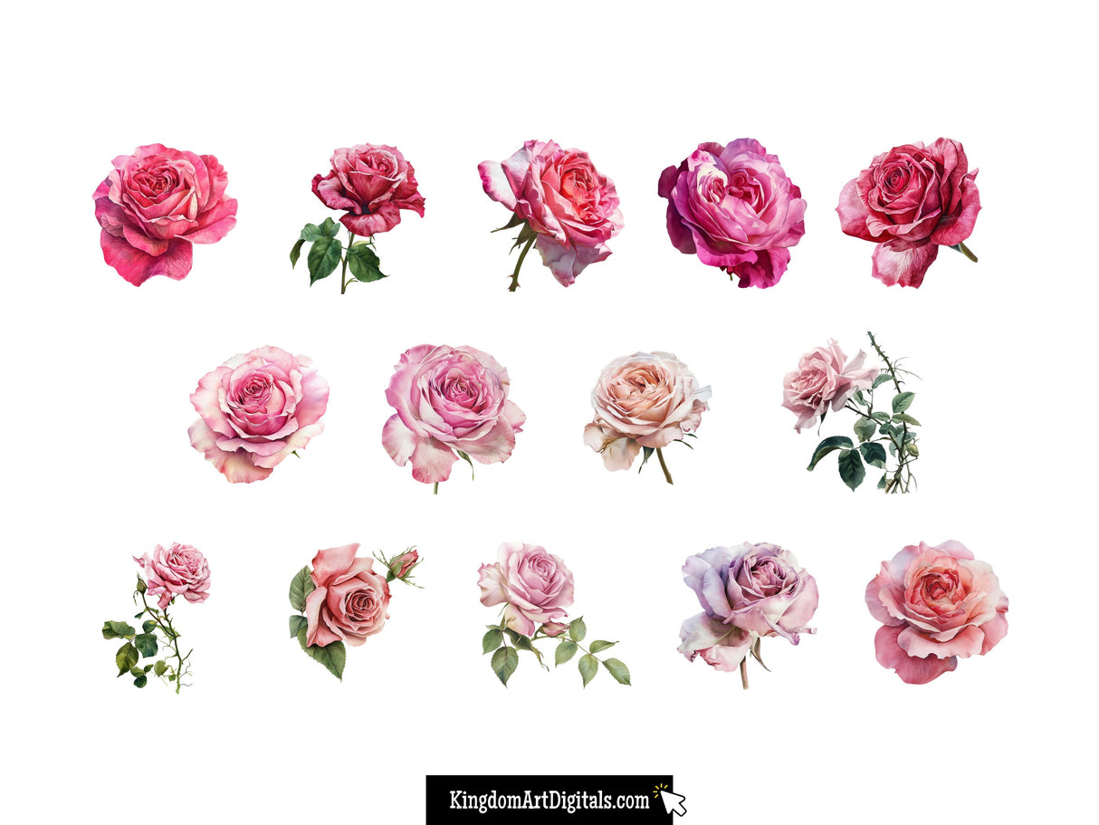 Pink Rose Clipart Set