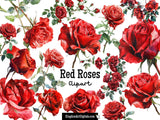 Red Roses Clipart Set